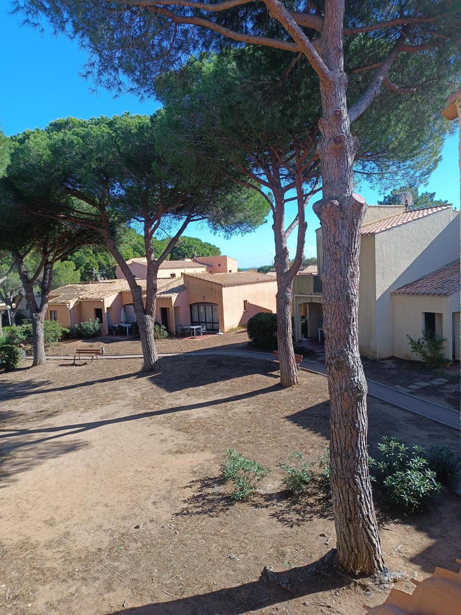 Studio Renove Dans Residence De Vacances Avec Grande Piscine Chauffee, Parking Et Terrasse Agde Exterior foto